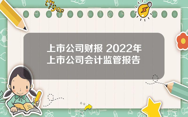 上市公司财报 2022年上市公司会计监管报告